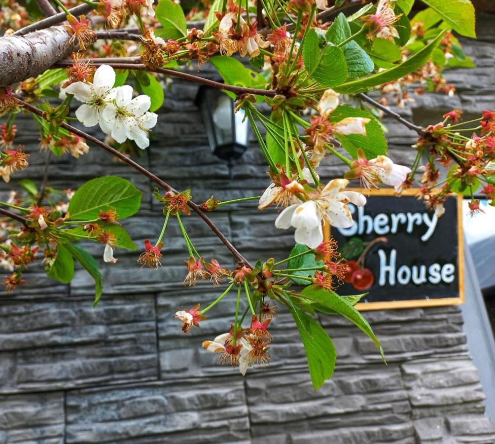 Cherry House Kasbegi Buitenkant foto