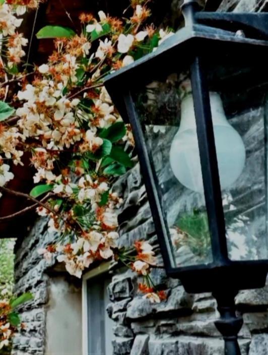 Cherry House Kasbegi Buitenkant foto